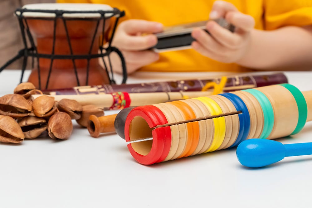 A collection of instruments for early childhood students