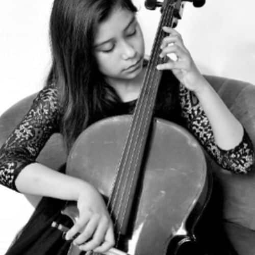 meve south shore student