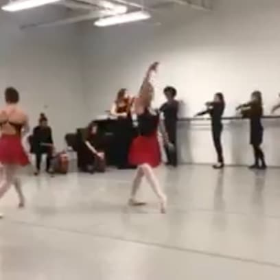 Merit's suzuki-alegre ensemble performs with ballet chicago